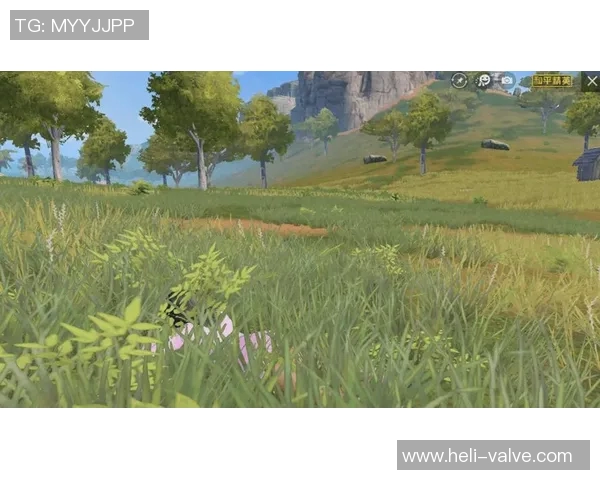 吴敏独家揭秘英雄联盟游戏策略与技巧分享助你快速提升段位