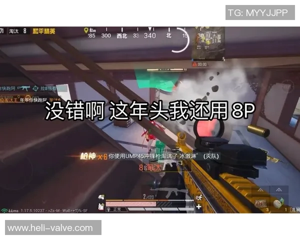 和平精英战术解析：FPX如何构建高效区域防守体系