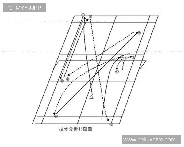 广州羽毛球队在全国锦标赛中的战术分析与表现评估 广州羽毛球队在全国锦标赛中的战术分析与表现评估