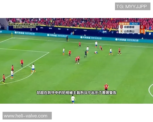 成都篮球队速度之争引发热议球迷观点各异引发讨论