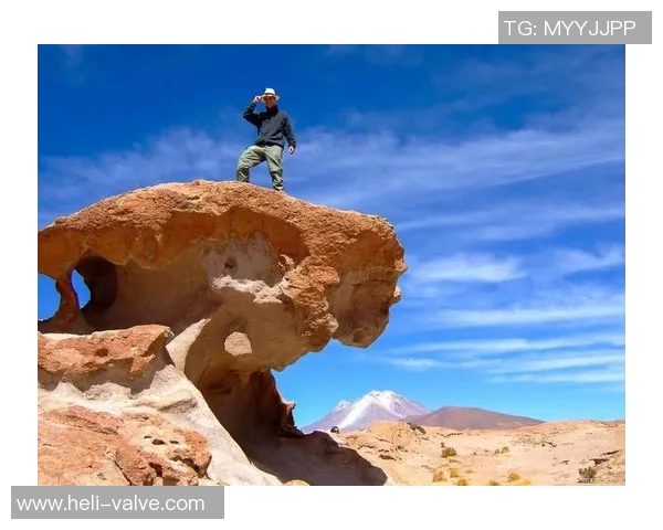 杨磊亲授攀岩技巧与心得分享助你轻松征服高峰