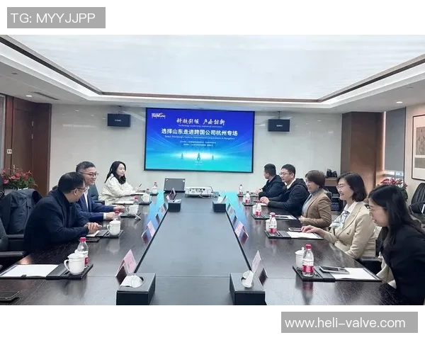 杭州排球队团队协作的独特优势与其他球队的深度对比分析