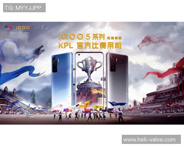 王者荣耀背后的奋斗与荣耀：JDG战队的成长与突破之路