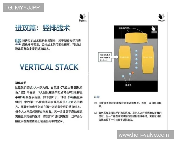 西安飞盘队配合表现深度分析与战术探讨