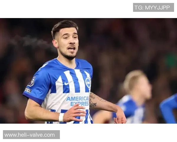 斯托克城主场迎战布莱顿力争三分展现球队实力与决心