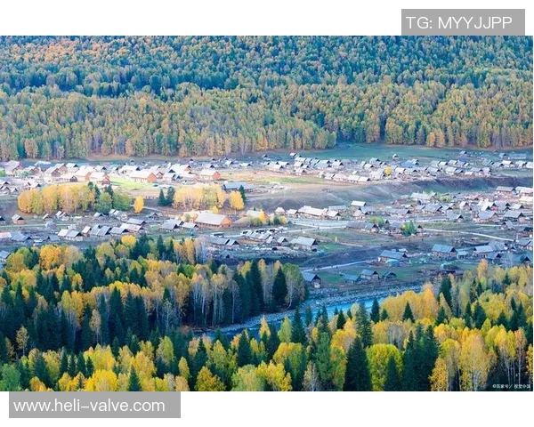 探秘阿拉巴的历史文化与自然风光，感受独特的地域魅力与人文情怀