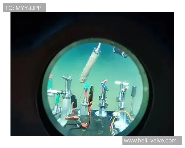 田宇翔的奋斗故事与成长历程探秘：从平凡到卓越的蜕变之路