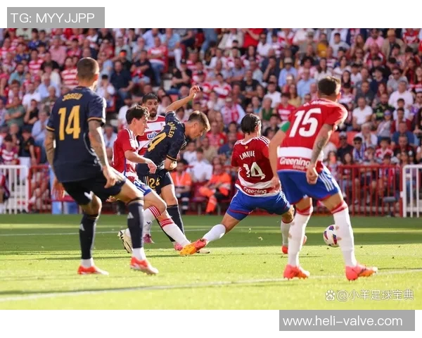 罗森博格与奥德的精彩对决分析及赛前预测 罗森博格与奥德的精彩对决分析及赛前预测