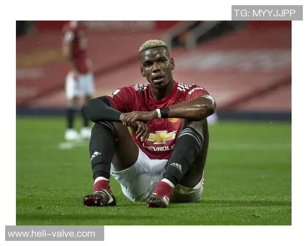 重庆极限运动队在攀岩联赛中的出色表现与状态分析