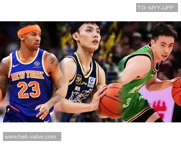 2016年CBA季后赛精彩对决辽宁队与江苏队的巅峰对抗回顾