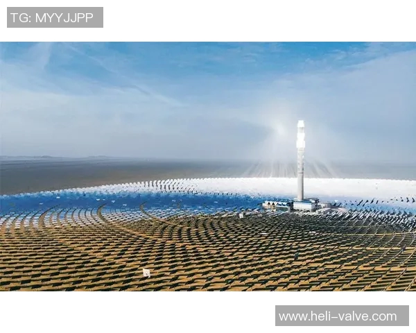 吕俊虎：在新时代背景下的创新与发展之路探讨