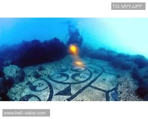 探索奥蓬达的魅力与神秘，揭开这片土地的历史与文化面纱
